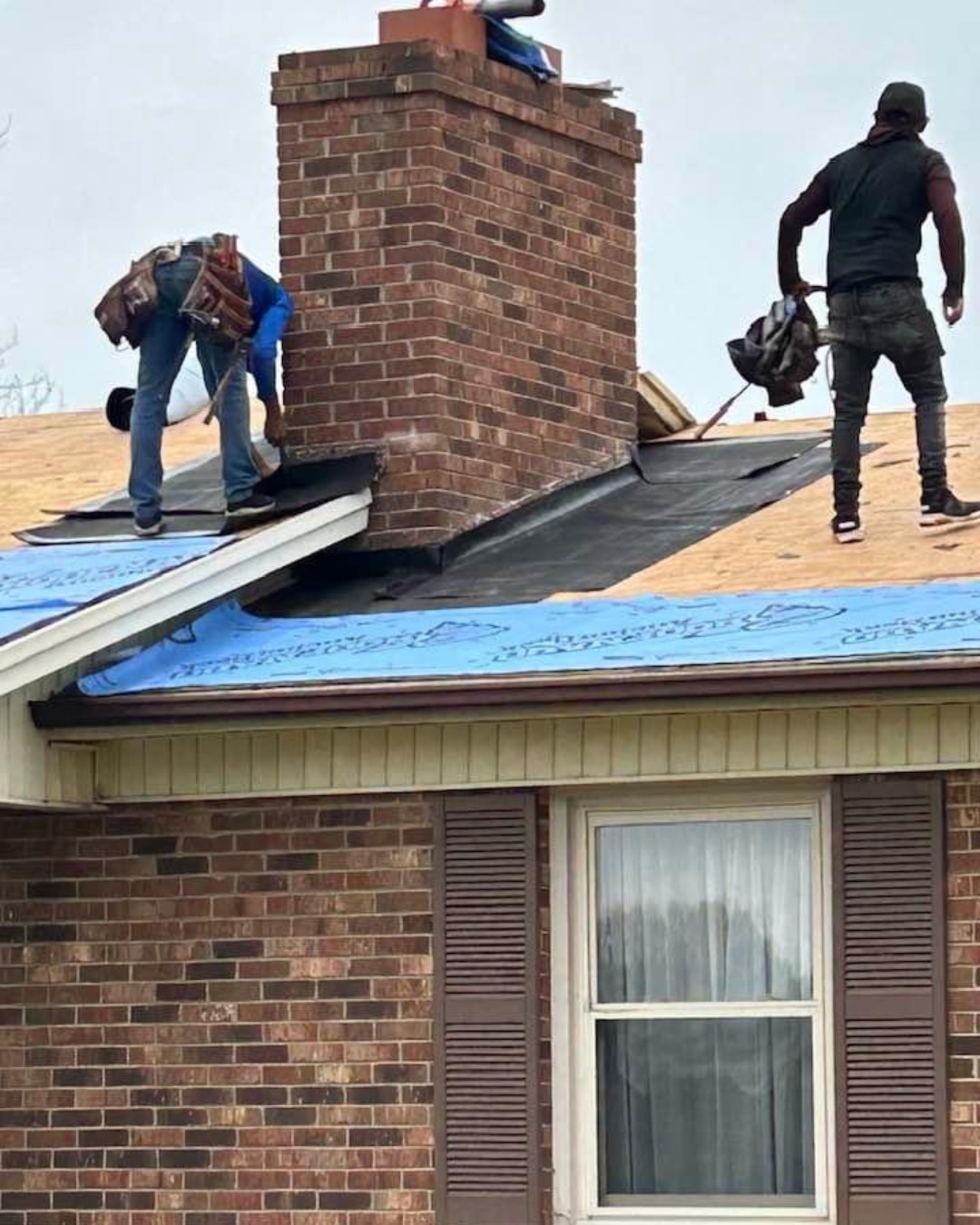 Shingle Roof 3