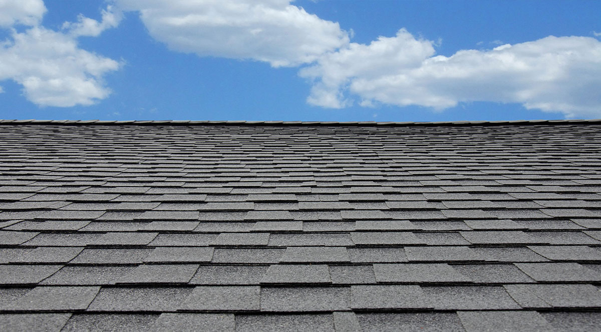 What Kind Of Roof Shingles Are There And Which Is Best?